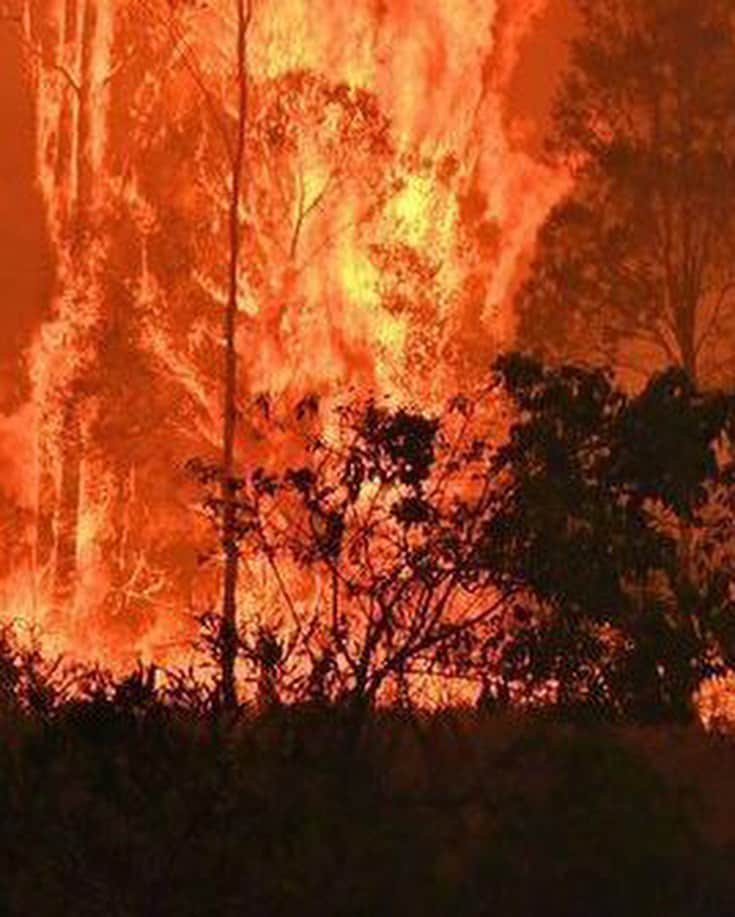 ジェイ・コートニーさんのインスタグラム写真 - (ジェイ・コートニーInstagram)「AUSTRALIA IS BURNING. And it’s getting worse. People have died. More are missing. Thousands of homes have been lost. Tens of thousands of people are displaced. 15million acres of land have been burned (23,000sq miles) killing and destroying the habitats of thousands of species of wildlife and wiping out a total area way bigger than New York City. For perspective - That’s 7 times larger than the Amazon fires and 3 times larger than the 2018 blazes in California. If you want to help, PLEASE do. Give anything. Links in my bio to @redcrossau bushfire appeal but it’s SO easy to get online and decide how you want to help. Thank you to brave souls battling this apocalyptic mayhem. Awe, respect, nothin but love. @nswrfs @cfavic @qldfire @sa_countryfireservice @dfes_wa @wireswildliferescue @wwf_australia @portmacquariekoalahospital @salvosau @redcrossau #fires #bushfires #australianfires #australia」1月4日 1時44分 - jaicourtney