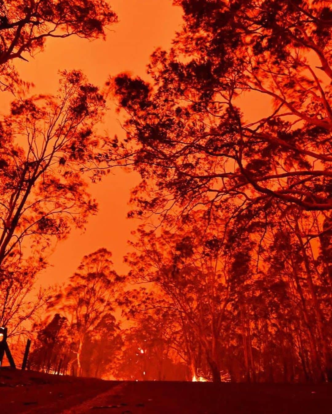 ジェイ・コートニーさんのインスタグラム写真 - (ジェイ・コートニーInstagram)「AUSTRALIA IS BURNING. And it’s getting worse. People have died. More are missing. Thousands of homes have been lost. Tens of thousands of people are displaced. 15million acres of land have been burned (23,000sq miles) killing and destroying the habitats of thousands of species of wildlife and wiping out a total area way bigger than New York City. For perspective - That’s 7 times larger than the Amazon fires and 3 times larger than the 2018 blazes in California. If you want to help, PLEASE do. Give anything. Links in my bio to @redcrossau bushfire appeal but it’s SO easy to get online and decide how you want to help. Thank you to brave souls battling this apocalyptic mayhem. Awe, respect, nothin but love. @nswrfs @cfavic @qldfire @sa_countryfireservice @dfes_wa @wireswildliferescue @wwf_australia @portmacquariekoalahospital @salvosau @redcrossau #fires #bushfires #australianfires #australia」1月4日 1時44分 - jaicourtney