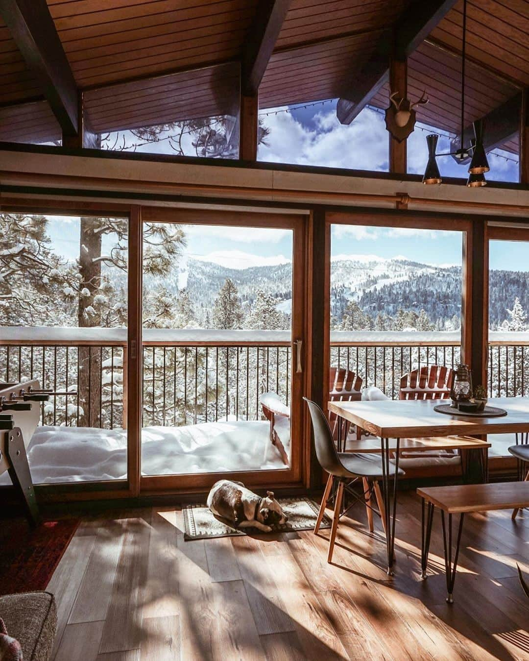 Airbnbさんのインスタグラム写真 - (AirbnbInstagram)「Superhosts Sara and Eric’s midcentury chalet is equally well suited for hitting the slopes or hanging out by the fire (or in a sunny spot on the floor). A shuttle to Big Bear Mountain Resort is a short walk away. If you ever want a break from the ski/après-ski cycle, check out Big Bear Alpine Zoo, which rehabilitates and releases injured native wildlife.  Photo: @treehauschalet」1月4日 2時00分 - airbnb