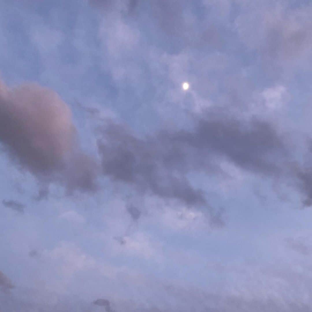 草刈民代さんのインスタグラム写真 - (草刈民代Instagram)「今日はしつこくアップします。 空が綺麗なんで、、、 #草刈民代 #空」1月4日 17時01分 - tamiyo_kusakari_official