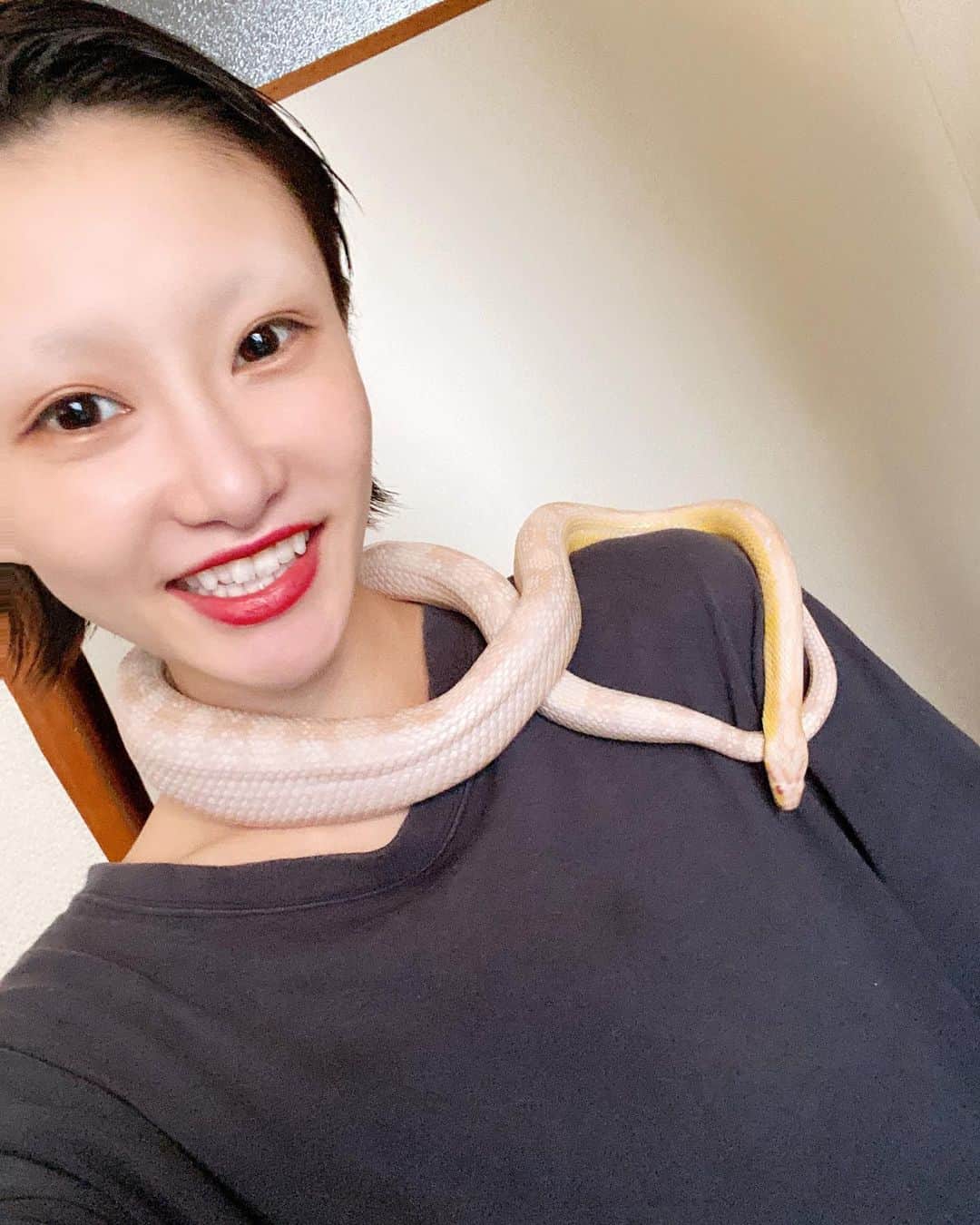 濱田茉奈さんのインスタグラム写真 - (濱田茉奈Instagram)「._ 蛇🐍のるなちゃん！！ お目目赤にピンクでクソ可愛いの！ 小学生ぶりに蛇を巻いた。 そして触った！ウォーターベッドだった可愛い。 私、猫に嫌われがちだけど(しつこいから) 蛇には好かれた😍💓 蛇顔だからか？w スリザリン😋✌️harry potter🐍 腕にも首にもしがみつかれて可愛かった…私を離したくないの？ねぇ？可愛い (人間なら共依存) 2020年　1月2日._ #2020 #あけましておめでとうございます #あけましておめでとう #あけおめ　#ことよろ　#今年もよろしくお願いします #あけましておめでとうございます🎍 #2020年 #happynewyear #happynewyear2020 #happyholidays #love #蛇　#snake #pet #るなちゃん　#runa」1月4日 16時23分 - manahamada0222
