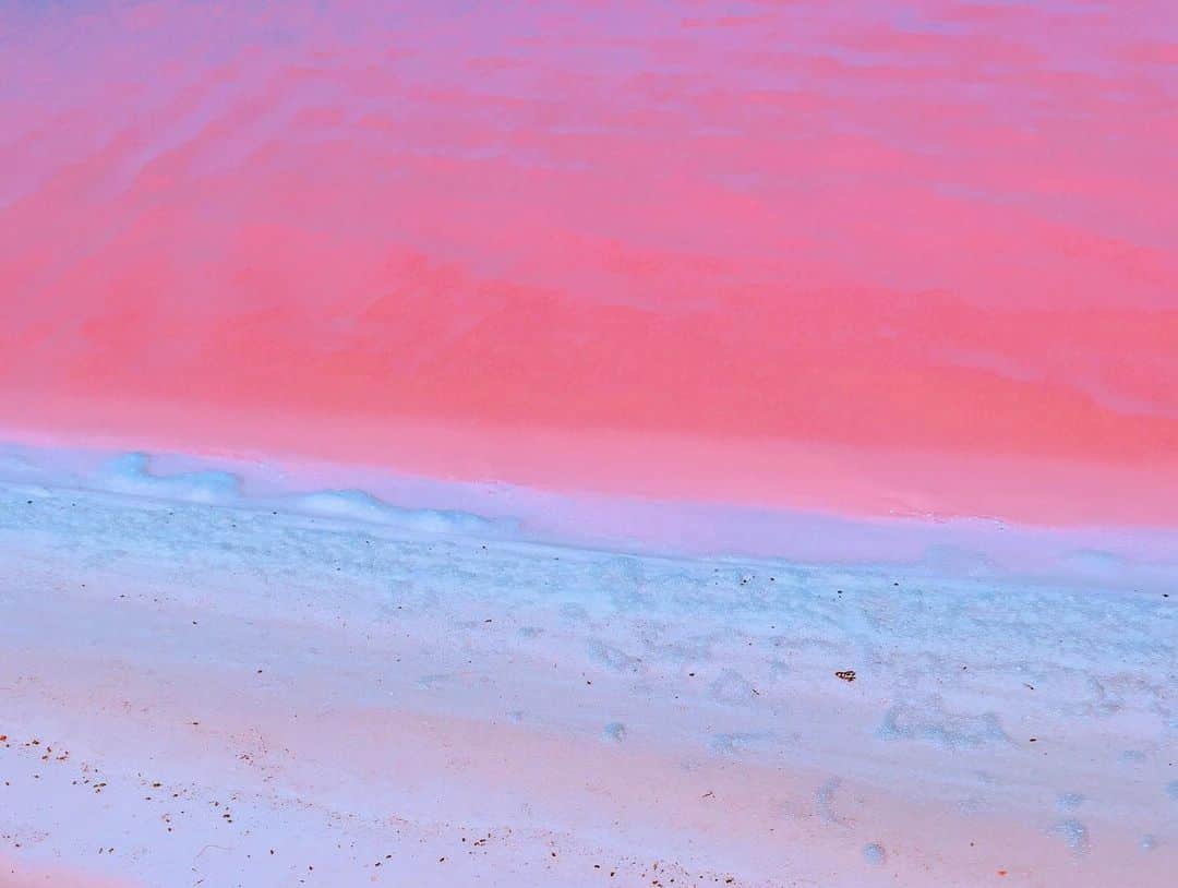 名越涼子さんのインスタグラム写真 - (名越涼子Instagram)「#死ぬまでに行きたい世界の絶景  #mexico #🇲🇽 #ユカタン半島 #pinklagoon  一一一一一一一一一一  湖がピンク色に染まる天然のアート 【ピンクラグーン】  絵具でも色鉛筆でも出せないような ピンク、青、紫色がまじった複雑な色合いに思わず絶句。  実はこれ 使われなくなった塩田らしく  周りの白い色をしたものは塩で 太陽の日が差すと 水の中にいる赤いプランクトンと小エビが反射して この湖の色をつくりだすのだとか。  ずっとずっと観ていたくなる とっておきのピンク。  メキシコ、カンクンからおよそ260キロ。 （だいたい東京から三河安城😇とおっ） ・ ・ ・  ユカタン半島の自然保護地区「リオ・ラガルトス」の 最東端の〝ラス・コロラダス″にあるここは  移動で腰が砕けそうになりながらも 絶対に観るべきスポット😇📍 ・ ・ ・ ・  一一一一一一一一一一 #pinklake#ピンクラグーン #ピンクレイク#lake#art #nature#naturearts  #beautiful#beautifulworld  #移動距離#bus#sightseen #beautifulspot #yucatanmexico #世界の絶景#bestview #mexicotrip」1月4日 16時43分 - nagoshi_ryo