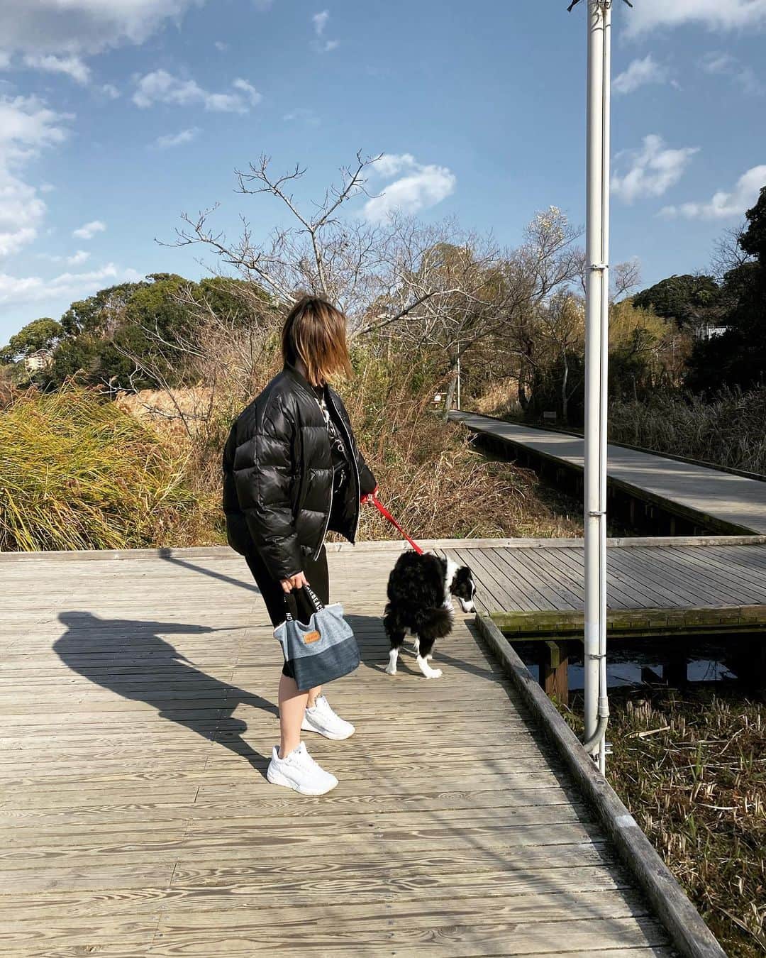 疋田星奈さんのインスタグラム写真 - (疋田星奈Instagram)「まったりなお正月～🎍 . .  #お散歩 #ボーダーコリー #ボーダーコリーのいる生活 #犬 #犬のいる暮らし」1月4日 16時55分 - seina.91