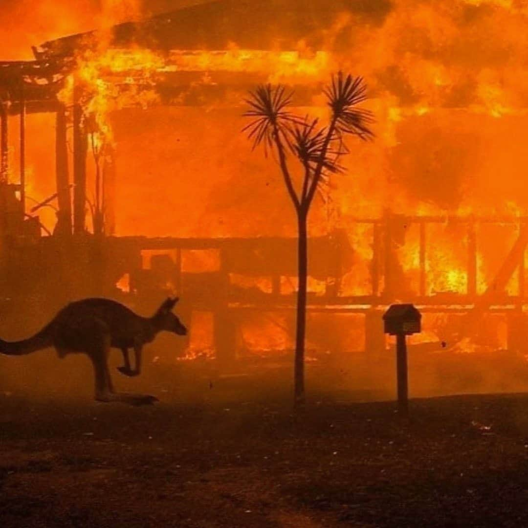 ミランダ・カーさんのインスタグラム写真 - (ミランダ・カーInstagram)「Sending love and prayers to those affected by the Australia Wild Fires. It’s absolutely heartbreaking. 💔 Please join me in supporting those affected and visit the link in my bio to donate to the Red Cross Disaster Relief and Recovery Fund. All donations will support affected families and the community during this disaster. 🙏🏻 Thank you to the brave fire fighters and community of volunteers for your help and support. 💖」1月4日 8時02分 - mirandakerr