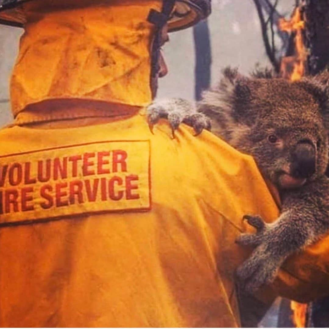 ミランダ・カーさんのインスタグラム写真 - (ミランダ・カーInstagram)「Sending love and prayers to those affected by the Australia Wild Fires. It’s absolutely heartbreaking. 💔 Please join me in supporting those affected and visit the link in my bio to donate to the Red Cross Disaster Relief and Recovery Fund. All donations will support affected families and the community during this disaster. 🙏🏻 Thank you to the brave fire fighters and community of volunteers for your help and support. 💖」1月4日 8時02分 - mirandakerr