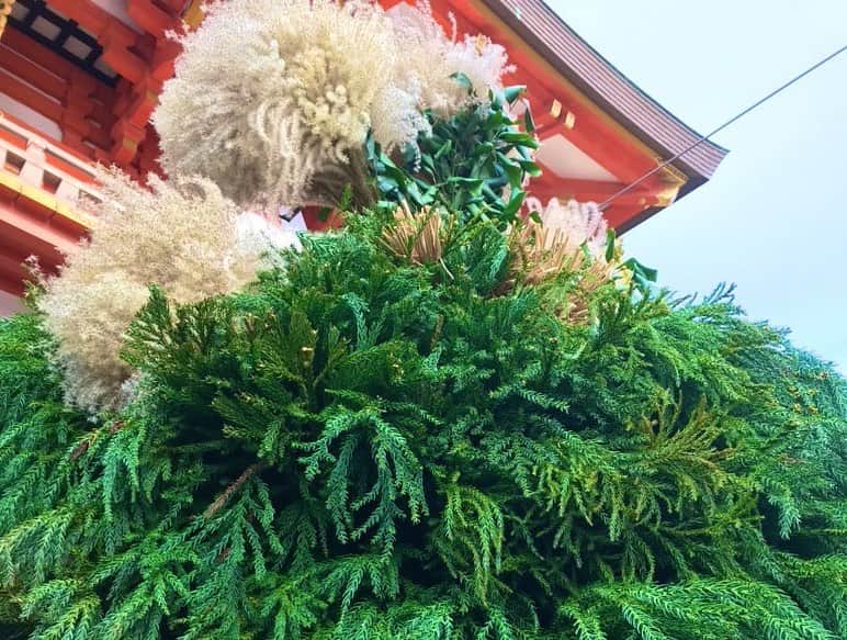 中野耕史さんのインスタグラム写真 - (中野耕史Instagram)「いつも以上に家族と過ごしているお正月。 昨日、生田神社に初詣に行きました。 #KissFM #4seasons でお話した杉盛りも撮影📷 ここにも生田神社の歴史や想いがあります。 おみくじは大吉でした😊 また月曜日からのOAで幸せなエネルギーを発信していきます☀️」1月4日 10時28分 - nakanocozy