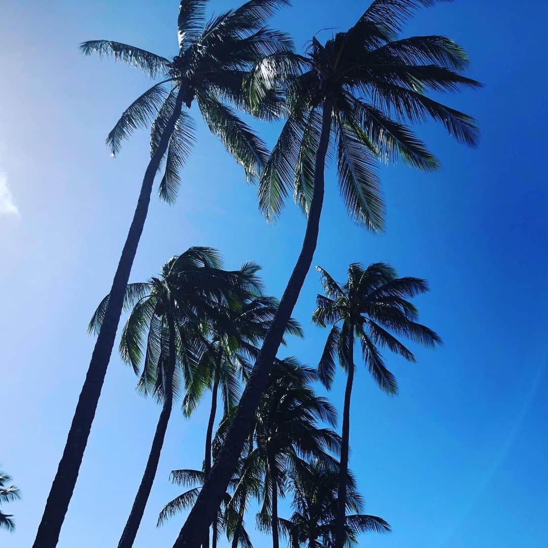 レイラニ・ビショップのインスタグラム：「Friday ✨ Sometimes I need only to stand wherever I am  to be blessed. Mary Oliver,」