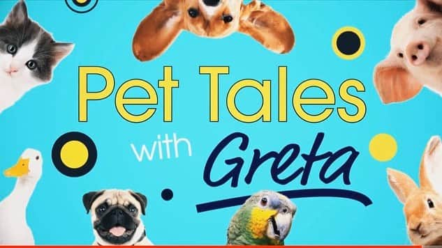 ロゼリン・サンチェスさんのインスタグラム写真 - (ロゼリン・サンチェスInstagram)「Please TUNE-IN to watch me and @greta on Discovery Channel ‘Pet Tales with Greta’ Saturday, January 4th at 8:00AM PST Muchas gracias a @brownieblondiefoundation2015 @santuario_canitas @thesatoproject por ser parte de este especial y el trabajo incansable que hacen por nuestros perros/gatos en 🇵🇷」1月4日 11時26分 - roselyn_sanchez