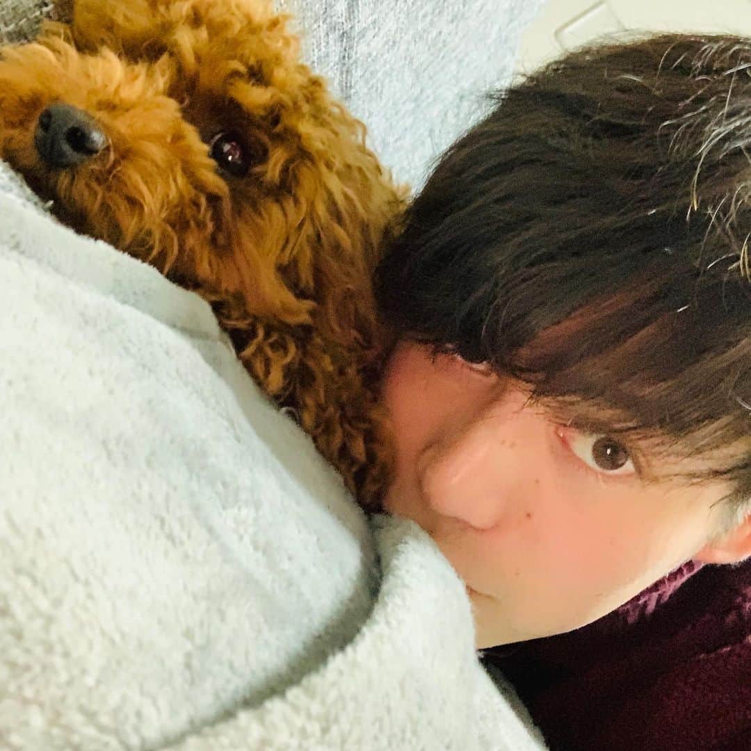 齊藤大将のインスタグラム：「遅くなりましたが…🙇‍♂️ あけましておめでとうございます🎍 写真がないので愛犬と充電中の1枚を…  1年目、2年目となかなか結果が出ない中、それでもたくさんの応援を変わらずにしてくれたファンの方々、本当にありがとうございます。  今年こそなんとか結果を残せるよう頑張っていきたいと思います❗️ 今年も応援よろしくお願いします❗️」