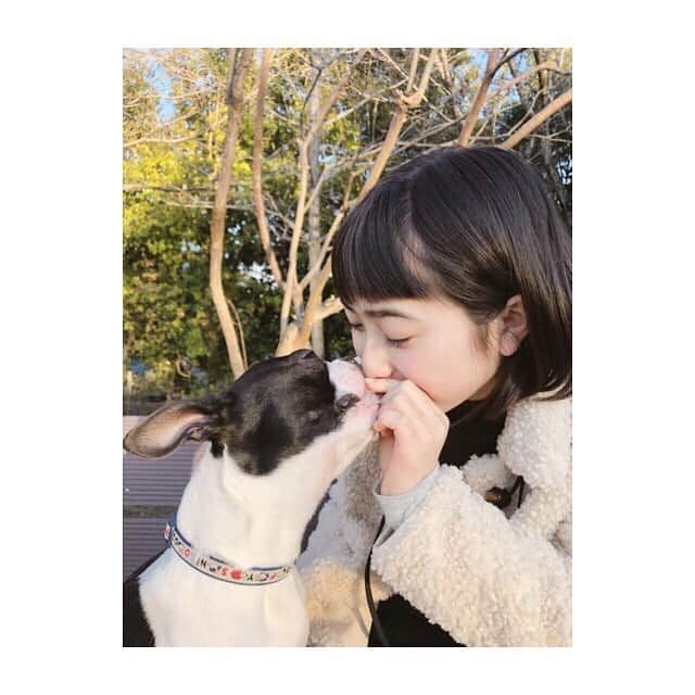 田牧そらさんのインスタグラム写真 - (田牧そらInstagram)「・ 私は、お正月 家族でおばあちゃんの家 に行って、満喫しました！ なな太ともたくさん 遊べて楽しかった😆 ・ さてさて、 今夜はカネオくん！ 73分スペシャルです！ 久しぶりのカネオくんで とても楽しみ！！ ・ ぜひ見てください😁😁 よる7:30スタートです☝️ ・ ・ #有吉のお金発見突撃カネオくん  #有吉弘行 さん #千鳥ノブ さん #麒麟がくる  #田牧そら 愛犬💕#ボストンテリア」1月4日 12時08分 - sora_tamaki_official