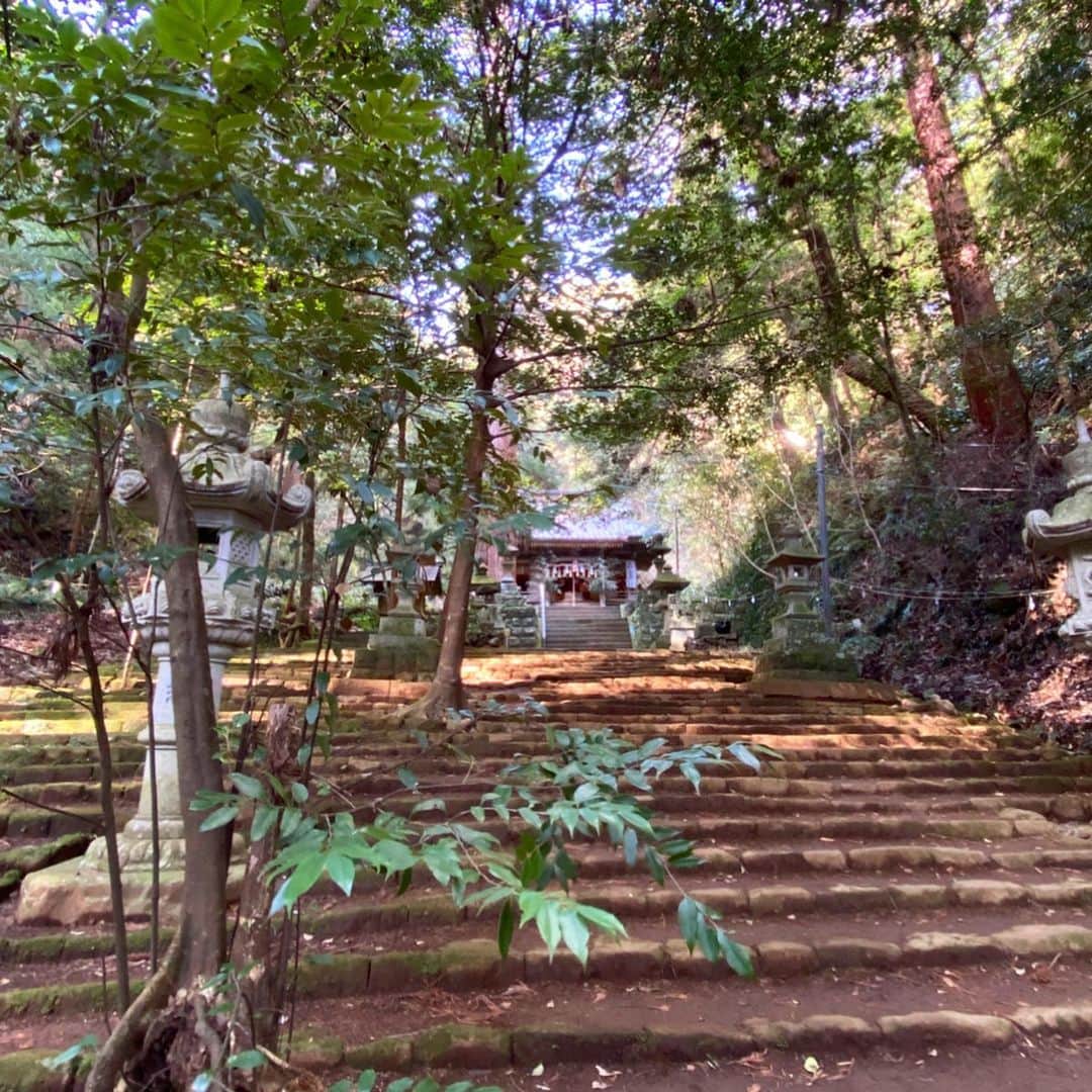 のインスタグラム：「かねてから気になっていた八幡宮来宮神社にお参り。  山裾へ細い旧道を進むと、森の奥にひっそりと佇む。静寂なのに神社の空気のパワー。  写真では伝え切れない荘厳さと境内の雰囲気に圧倒されました…」