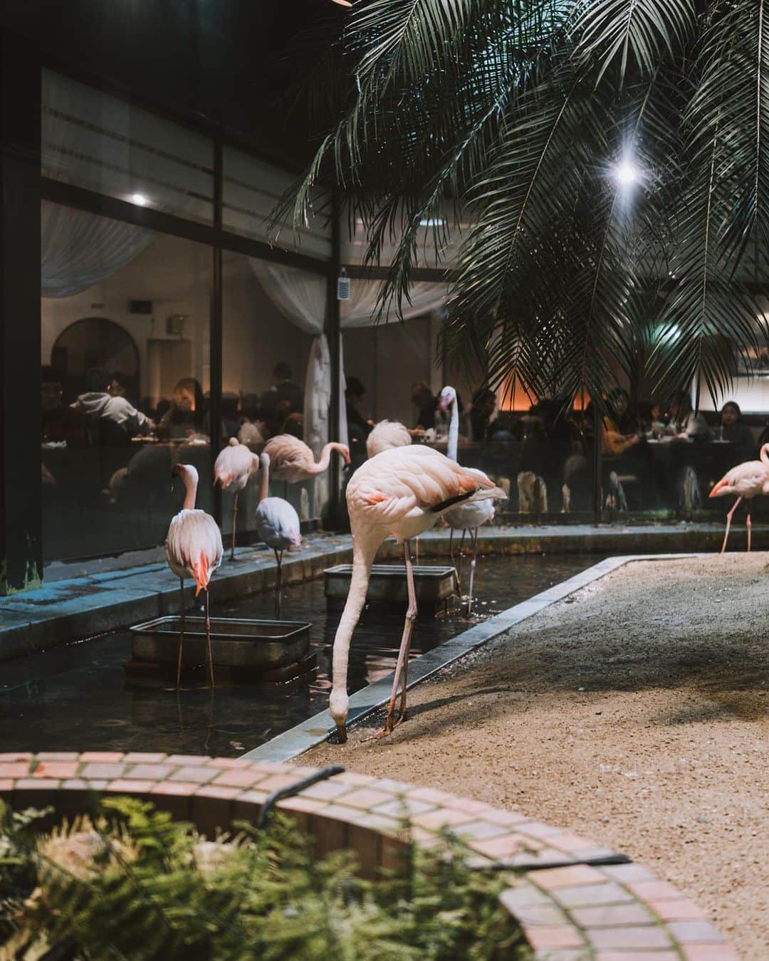 市川渚のグルメインスタ