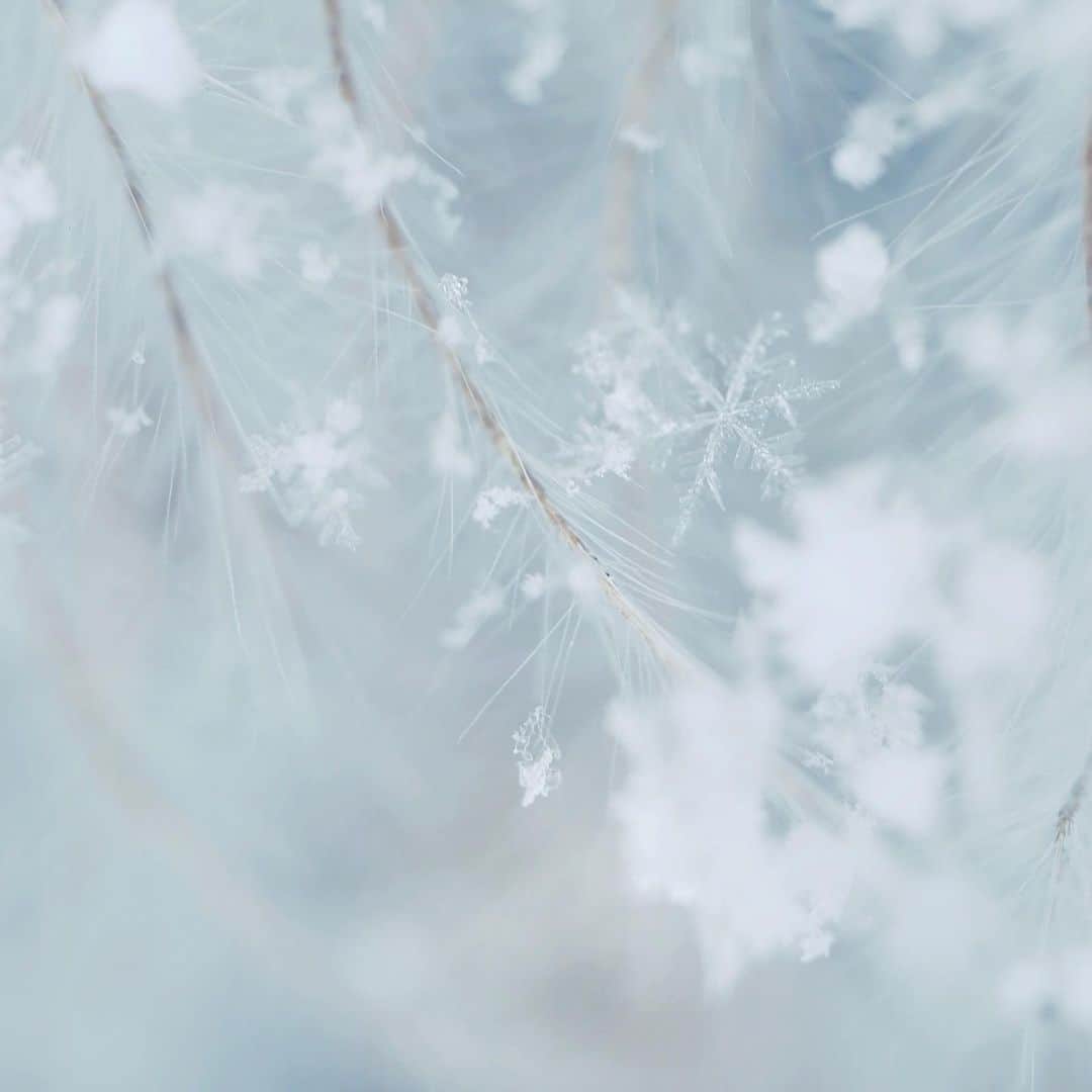 naorinmoonのインスタグラム