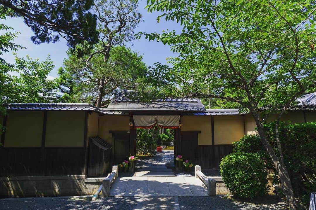 桜鶴苑のグルメインスタ