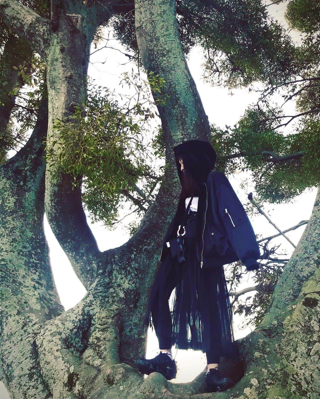 奥村佳恵のインスタグラム：「🐒🌳💚 #treeclimbing #mistletoe」