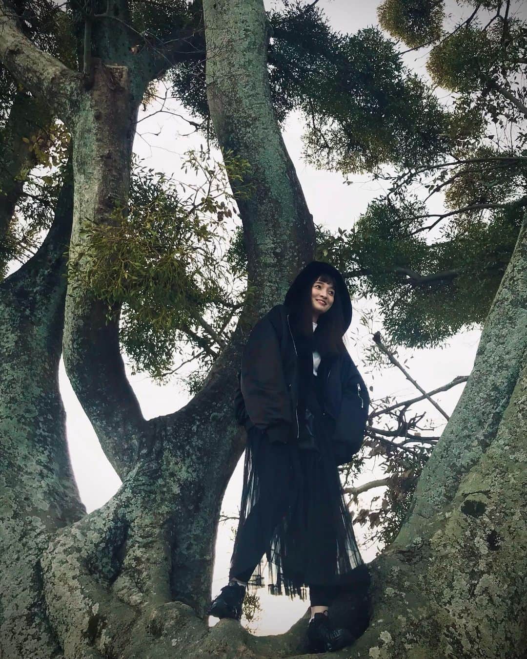 奥村佳恵のインスタグラム：「🐵🌳💚 #treeclimbing #mistletoe」