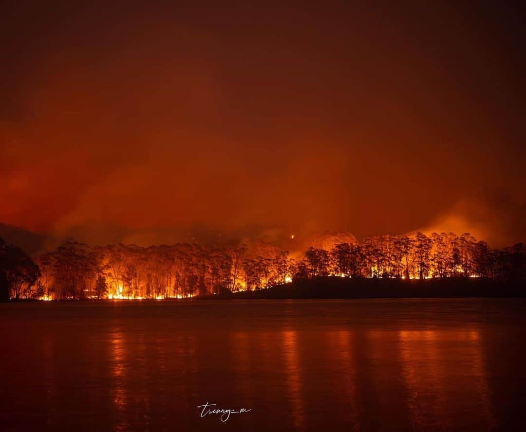 シャーニ・ヴィンソンさんのインスタグラム写真 - (シャーニ・ヴィンソンInstagram)「Gut wrenching photos of our family farm currently burning on Burrill Lake, Sth Coast NSW 🔥💔 📸: @trenny_m」1月5日 0時50分 - sharnivinson