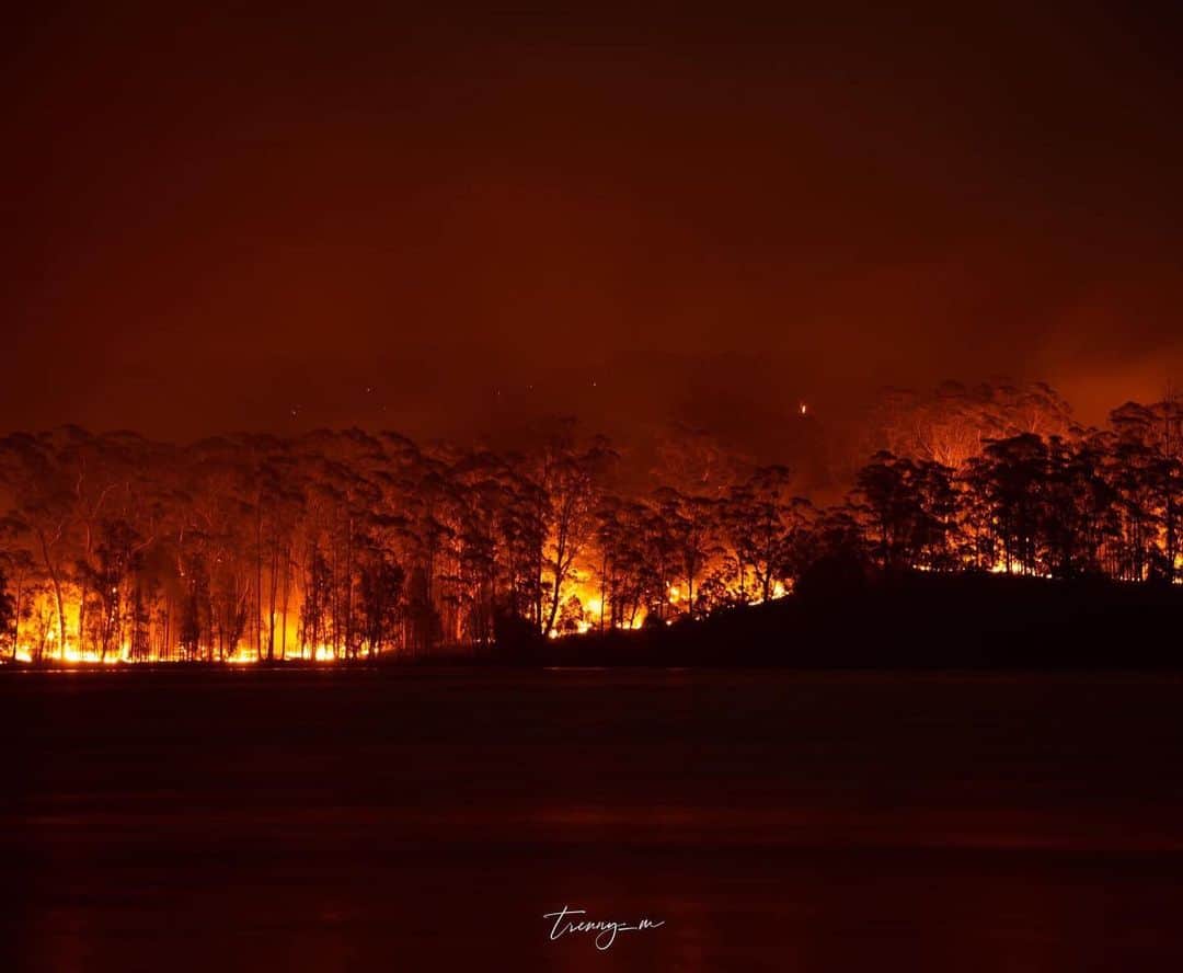 シャーニ・ヴィンソンさんのインスタグラム写真 - (シャーニ・ヴィンソンInstagram)「Gut wrenching photos of our family farm currently burning on Burrill Lake, Sth Coast NSW 🔥💔 📸: @trenny_m」1月5日 0時50分 - sharnivinson