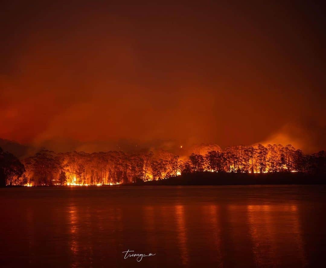シャーニ・ヴィンソンのインスタグラム：「Gut wrenching photos of our family farm currently burning on Burrill Lake, Sth Coast NSW 🔥💔 📸: @trenny_m」