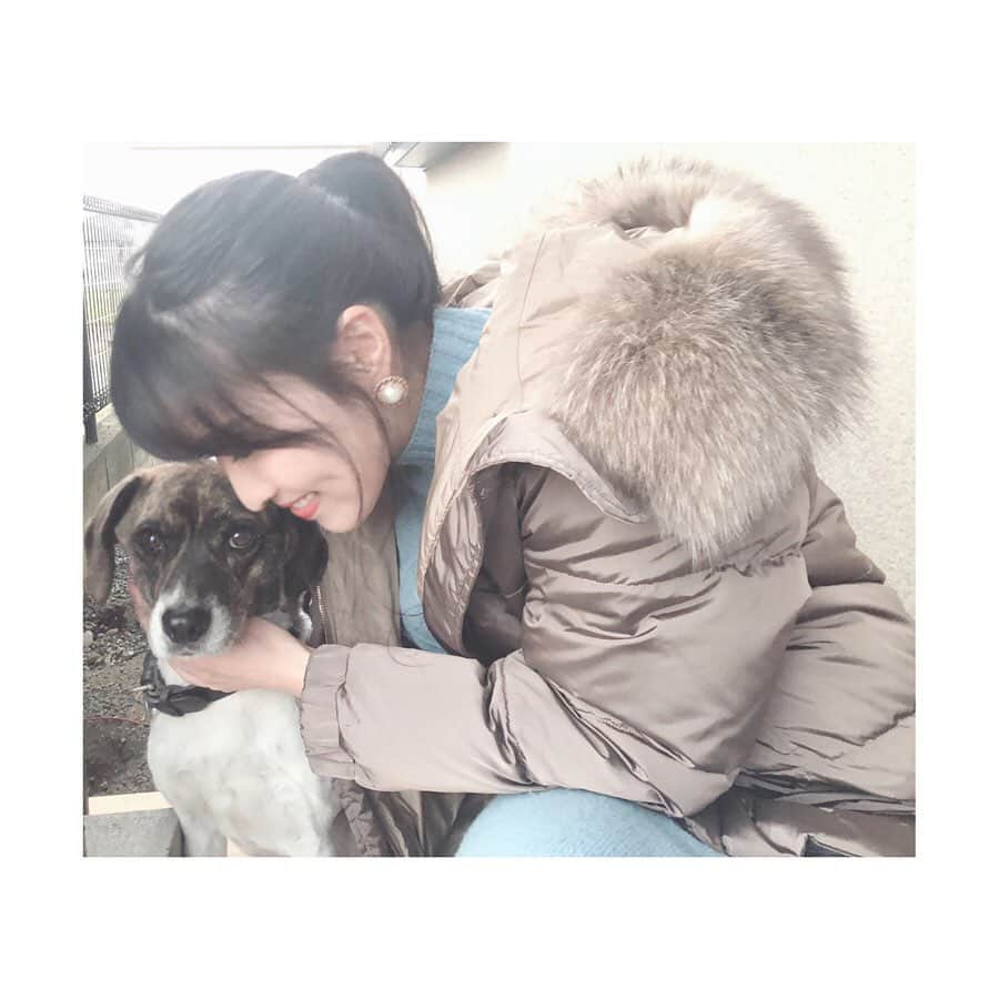 森田真以さんのインスタグラム写真 - (森田真以Instagram)「🐶 「ご飯だよ〜」っていうとカメラ見てくれる📷笑 お母さんのことが大好きすぎる 可愛いうちの番犬😂👏🏻❤️ 元々保護犬だったんだよ〜🐕 家族になって何年経ったかな？？ 人懐っこくて賢くていい子すぎて愛おしい😭 たまにイタズラするけどね😜 時々しか会えないけど、 今年も元気に過ごしてね😌💗 . . . #🐶 #dog #beagle #pet #dogstagram  #petstagram #life #instagood #like #followｍe #dogrun #family #love #ビーグル #犬好きな人と繋がりたい #イチロー君 #待てが上手  #待てしかできない #いぬすたぐらむ #家族 #ペット #ビーグル犬 #熊本 #保護犬 #保護犬を家族に #犬 #愛犬 #犬のいる暮らし #ペット」1月5日 1時59分 - morita_mai