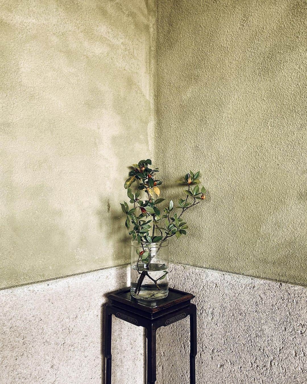 三浦大地のグルメインスタ