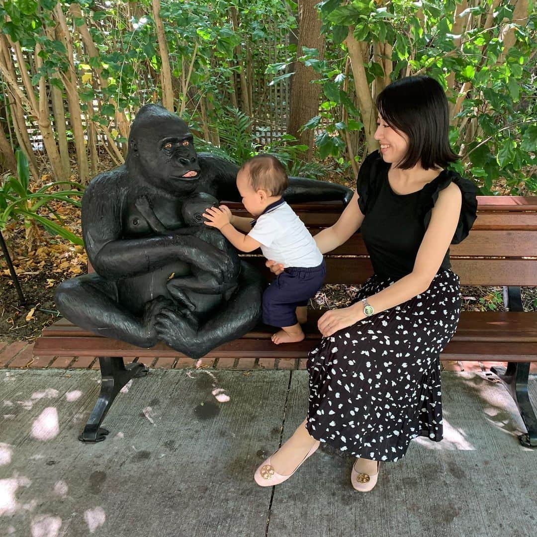 大西蘭のインスタグラム：「・ パース動物園🐨 ・ 市街地にあるし、コアラ、カンガルー、クォッカ、と一通り、オーストラリア固有の動物たちはいるし、結構広くてたくさんの動物がいるので、十分楽しめます❣️ ・ ただ、前に投稿したCaversham Wildlife Parkのほうがコアラもカンガルーも多くて、オーストラリアらしい🇦🇺 ・ ・ #パース動物園 #パース観光 #オーストラリア旅行」