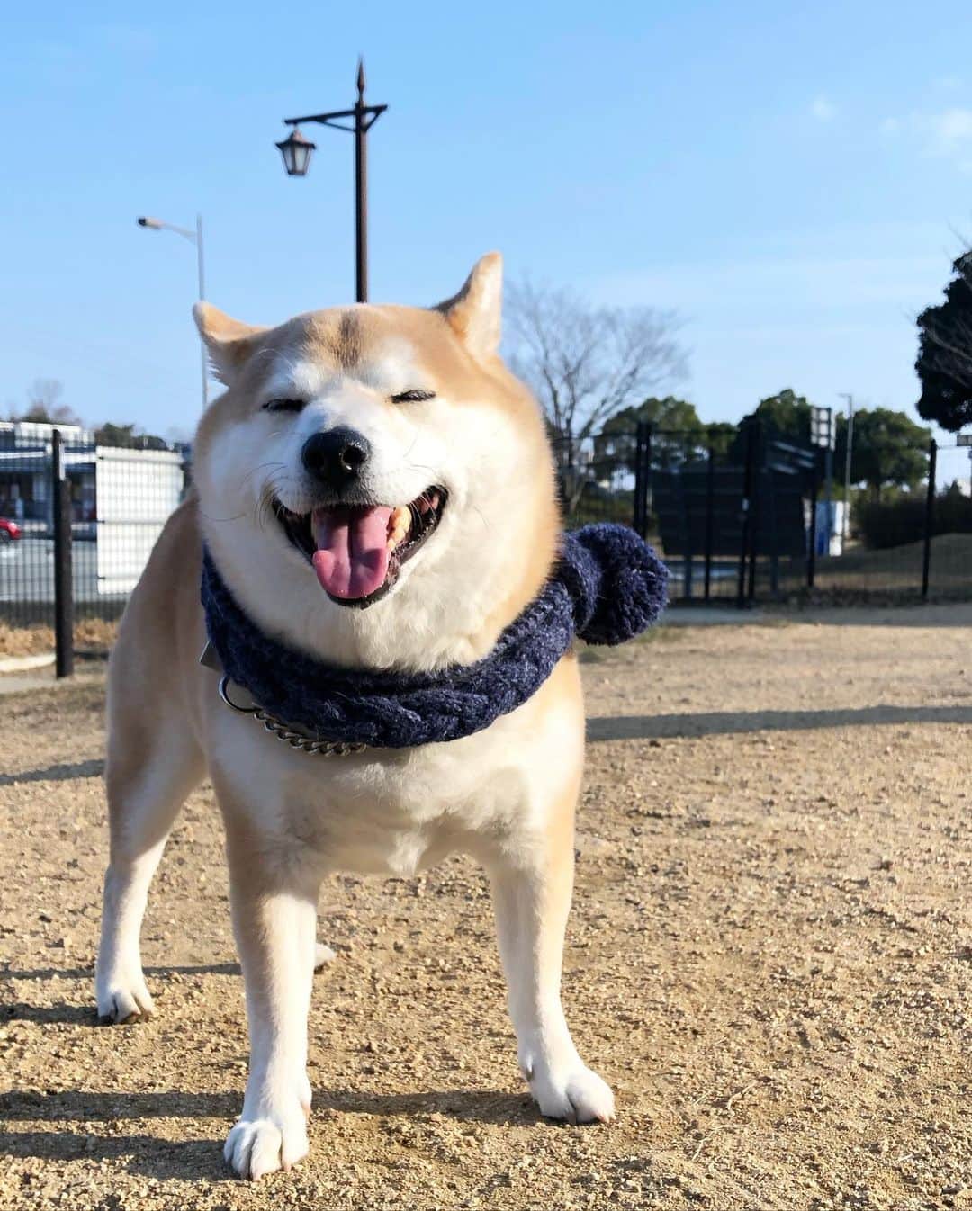 豆助左衛門（まめすけざえもん）のグルメインスタ