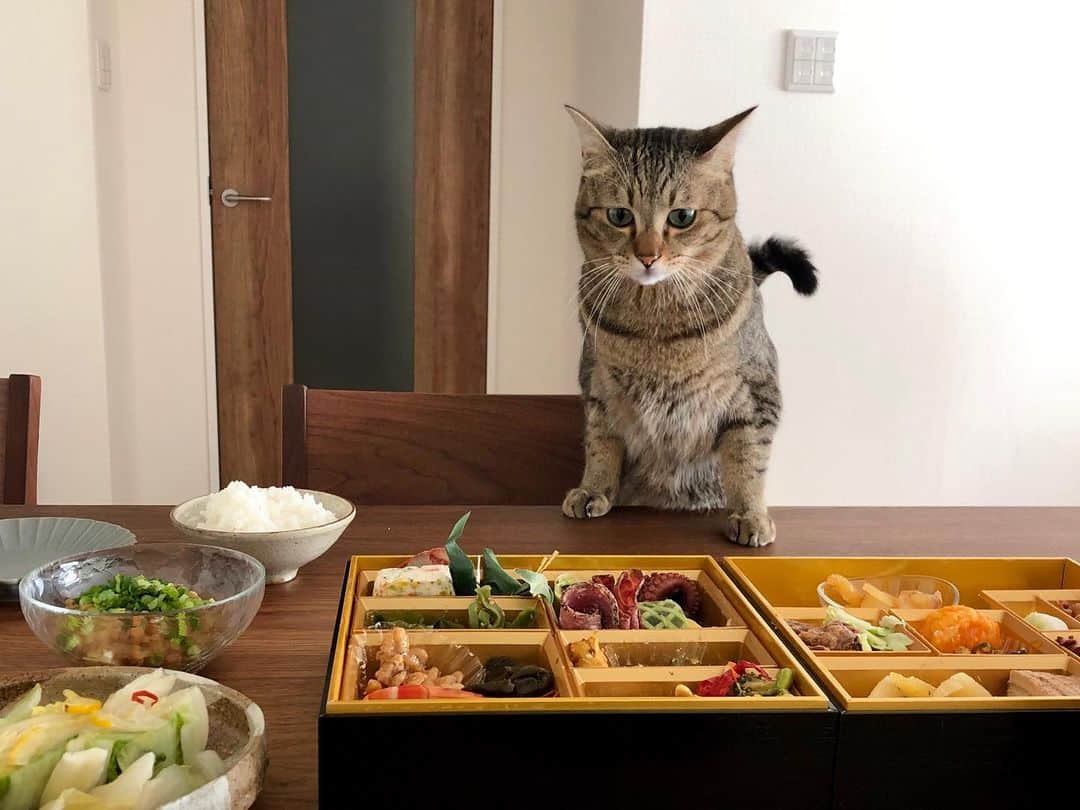 中山美香のインスタグラム