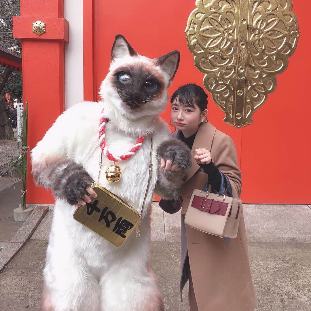小室ゆらさんのインスタグラム写真 - (小室ゆらInstagram)「.﻿ ﻿ ﻿ 招き猫さん(？)がいた…🐈﻿ ﻿ 猫に小判じゃなくて、猫に小室ですね☺︎︎﻿ 御利益あるかな🤔？﻿ ﻿ ちなみに猫さんからはチョコを貰いました🍫﻿ ﻿ ﻿ #花園神社﻿ ﻿ ﻿ .﻿ ﻿」1月4日 19時07分 - komuro_yura_official