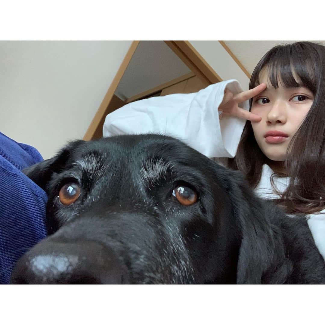 新井舞良さんのインスタグラム写真 - (新井舞良Instagram)「家感つよい。 モカといれるのしあわせだの~ #黒ラブ」1月4日 19時17分 - myra_arai