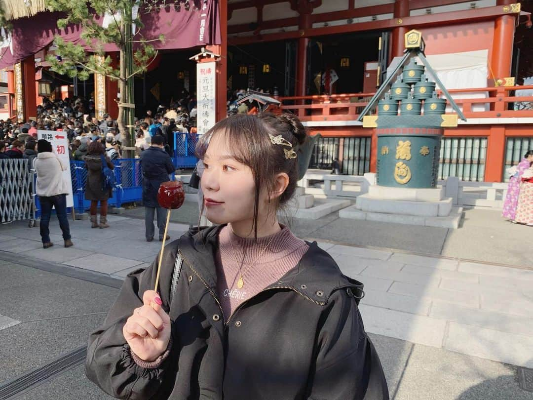 平崎里奈さんのインスタグラム写真 - (平崎里奈Instagram)「#初詣 したよ。 #浅草寺 と もうひとつは秘密の神社だよ。  新年初めて外出たから蝶々つけた🦋  りんご飴とすもも飴がすきです。」1月4日 19時31分 - hirasakirina