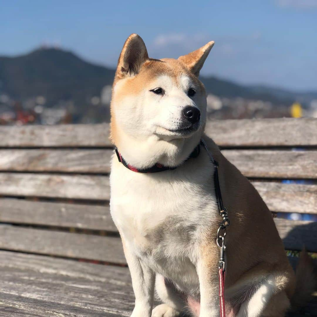 こなつさんのインスタグラム写真 - (こなつInstagram)「皿うどんがたべたくて、新地の中華街へ〜〜 グラバー園をお散歩してきました😊  お天気も良くて、後ろに見えるのは稲佐山🏔 * * #グラバー園」1月4日 19時34分 - makonatu