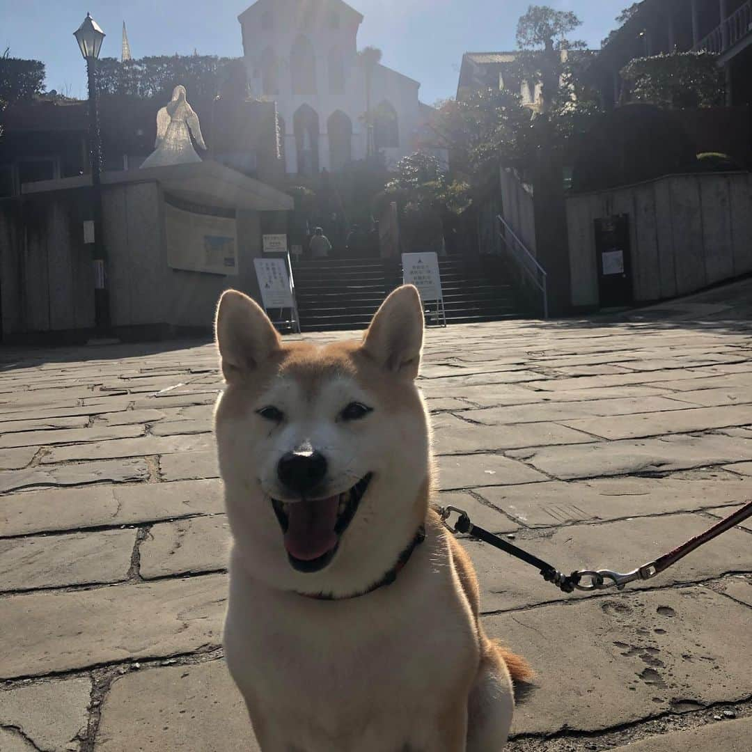 こなつさんのインスタグラム写真 - (こなつInstagram)「皿うどんがたべたくて、新地の中華街へ〜〜 グラバー園をお散歩してきました😊  お天気も良くて、後ろに見えるのは稲佐山🏔 * * #グラバー園」1月4日 19時34分 - makonatu