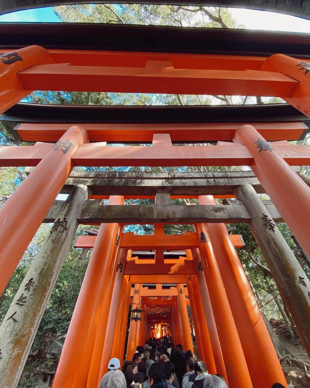 山中美智子さんのインスタグラム写真 - (山中美智子Instagram)「京都まで行ってきたよ✌🏾 伏見稲荷に行けた♡  すごい迫力ある千本鳥居⛩  カッコイイ👏🏽」1月4日 20時39分 - alexiastam1988