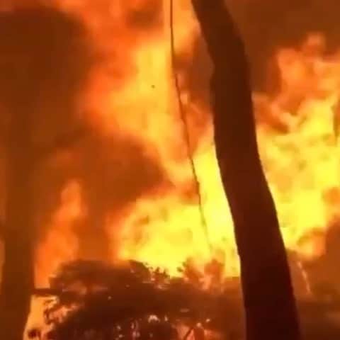 ニッキ・バン ダイクのインスタグラム：「💔It is non stop. We are in January, January!! Our country has been on fire for almost 5 months and this is only just the beginning. 12.4 MILLION ACRES and counting. I’m lost for words. Completely devastated to see our beautiful Country burnt to a crisp. My heart is hurting for every single second of it. To every soul out there fighting this war thank you ❤️ Please donate anything you can in these such horrific times ❤️ links are in my bio ❤️🧡💛 🇦🇺」