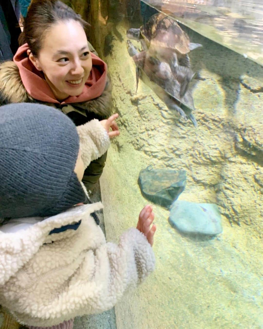 浅見れいなさんのインスタグラム写真 - (浅見れいなInstagram)「明けましておめでとうございます🎍 今年のお正月も実家でのんびり母のお節料理を食べたり、主人の実家の京都でいとこ達とワイワイ楽しく遊んだり充実したお正月を過ごしております😊 娘も沢山遊んで貰ってとっても楽しそう❣️ そろそろ通常モードにスイッチ🔛 今年は去年以上に皆様にお目に掛かれるよう頑張りますので、宜しくお願い致します🙏」1月4日 20時52分 - reina_asami