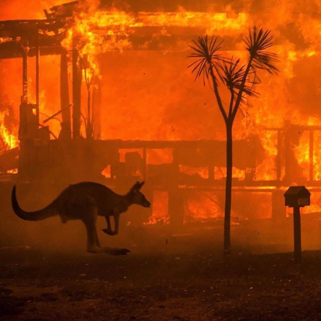 デヴィッド・ゲッタさんのインスタグラム写真 - (デヴィッド・ゲッタInstagram)「All my thoughts to Australia, what are we doing with our planet ?」1月4日 21時14分 - davidguetta