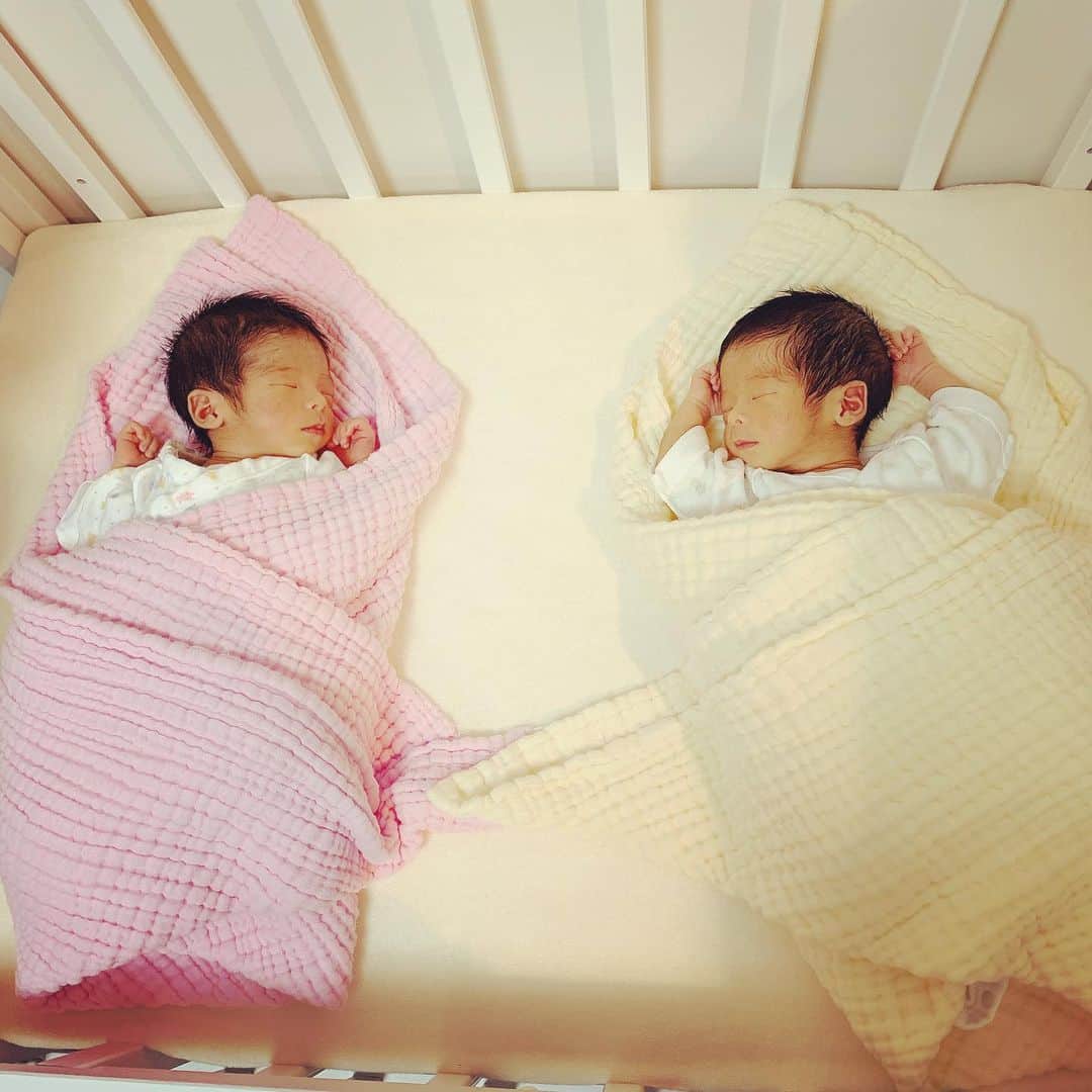 SHOCOさんのインスタグラム写真 - (SHOCOInstagram)「クリスマスから病院で過ごして元旦に退院して気づいたらもう三ヶ日もおわり、、、忘れられない年末年始になりました。遅ればせながら今年もよろしくお願いします。#Christmasbaby #twins #双子」1月4日 22時04分 - kozasho