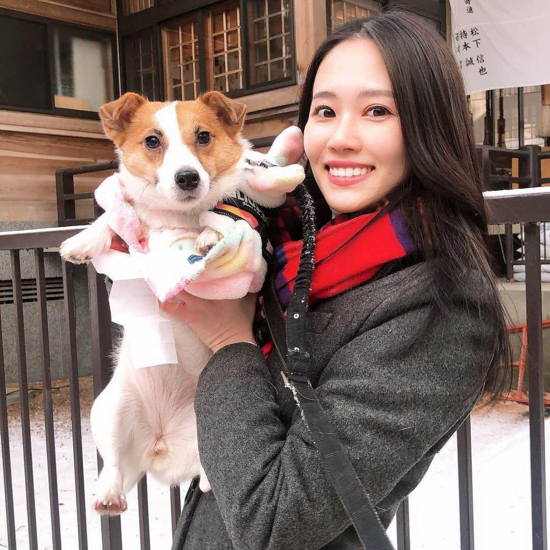 勝田梨乃のインスタグラム：「﻿ ﻿ お正月たくさん遊んでくれたエマちゃん🐶﻿ ﻿ ﻿﻿北海道一可愛いワンちゃんだね💕」