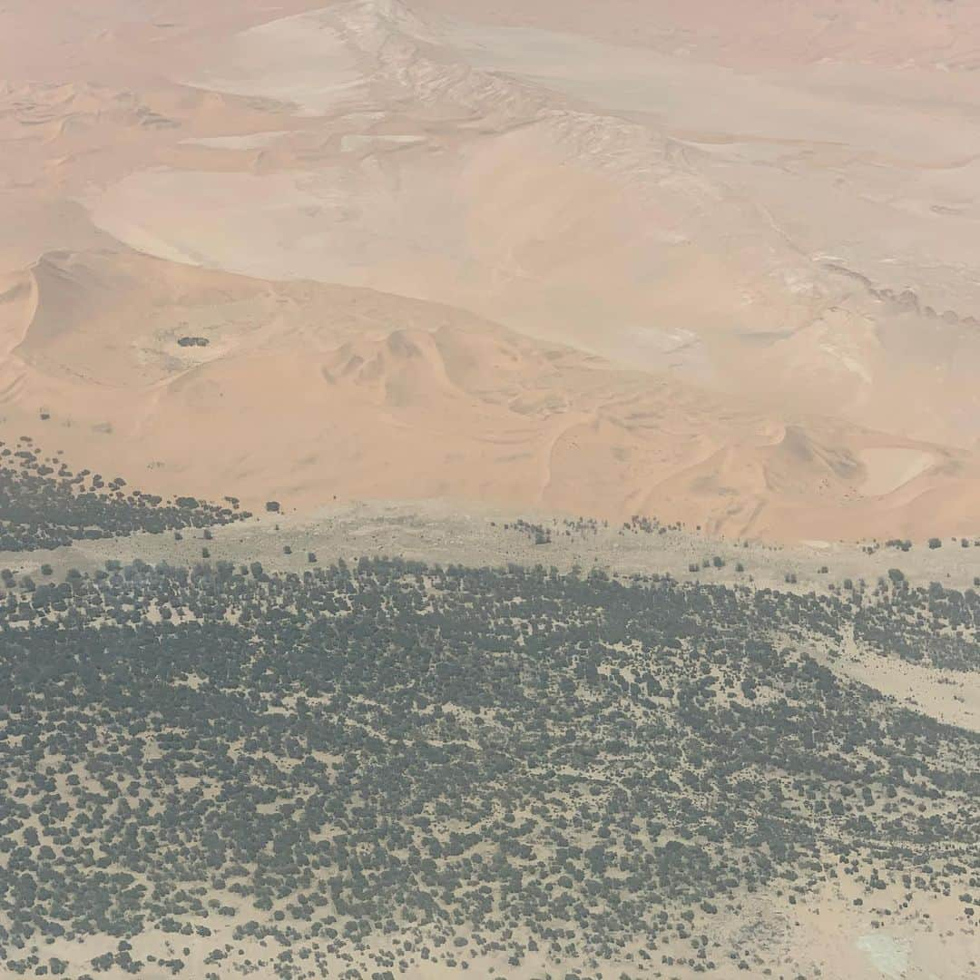 ホーランド・ロデンさんのインスタグラム写真 - (ホーランド・ロデンInstagram)「Namibia birds eye Purros and Sossusvlei with lovely Anna making me wanting to get my pilot license 🙌🏻👌🏻👍🏻 Good times tracking desert adapted elephants, giraffes, springbok, oryx, kudu, ostrich and getting to chat with the near by Himba village ❤️ thank you @scenicair for letting me propel;) around with Anna!!」1月4日 22時40分 - hollandroden