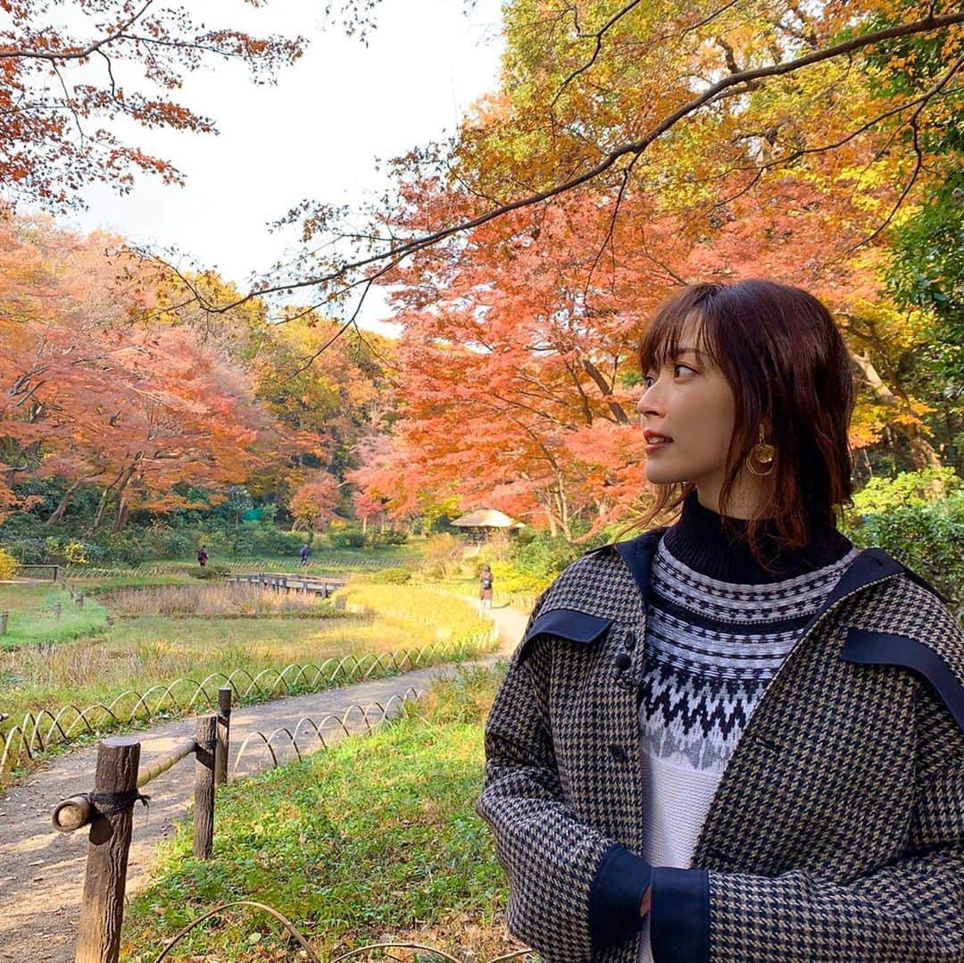 鈴木愛理さんのインスタグラム写真 - (鈴木愛理Instagram)「✴︎ 東京のいいね👍を見つける「東京GOOD!」 . 明後日1月6日放送の東京GOOD!は 「100年かけて作られた人工の森 明治神宮」　⛩ . 実は、はじめての明治神宮でした。自然の素晴らしさに感動し、木々の意味合いに納得したロケ。ずーっと見てみたかったパワースポットにも行けましたよ❤︎是非見てくださいね！！！ #年明け前のロケだったというのと #明治神宮の紅葉が遅めというのもあり #とても素敵な紅葉が見れました😌 . . 番組公式インスタグラムもチェックよろしくお願いします💓 @tokyo_good_tvtokyo #tokyogood」1月4日 23時21分 - airisuzuki_official_uf