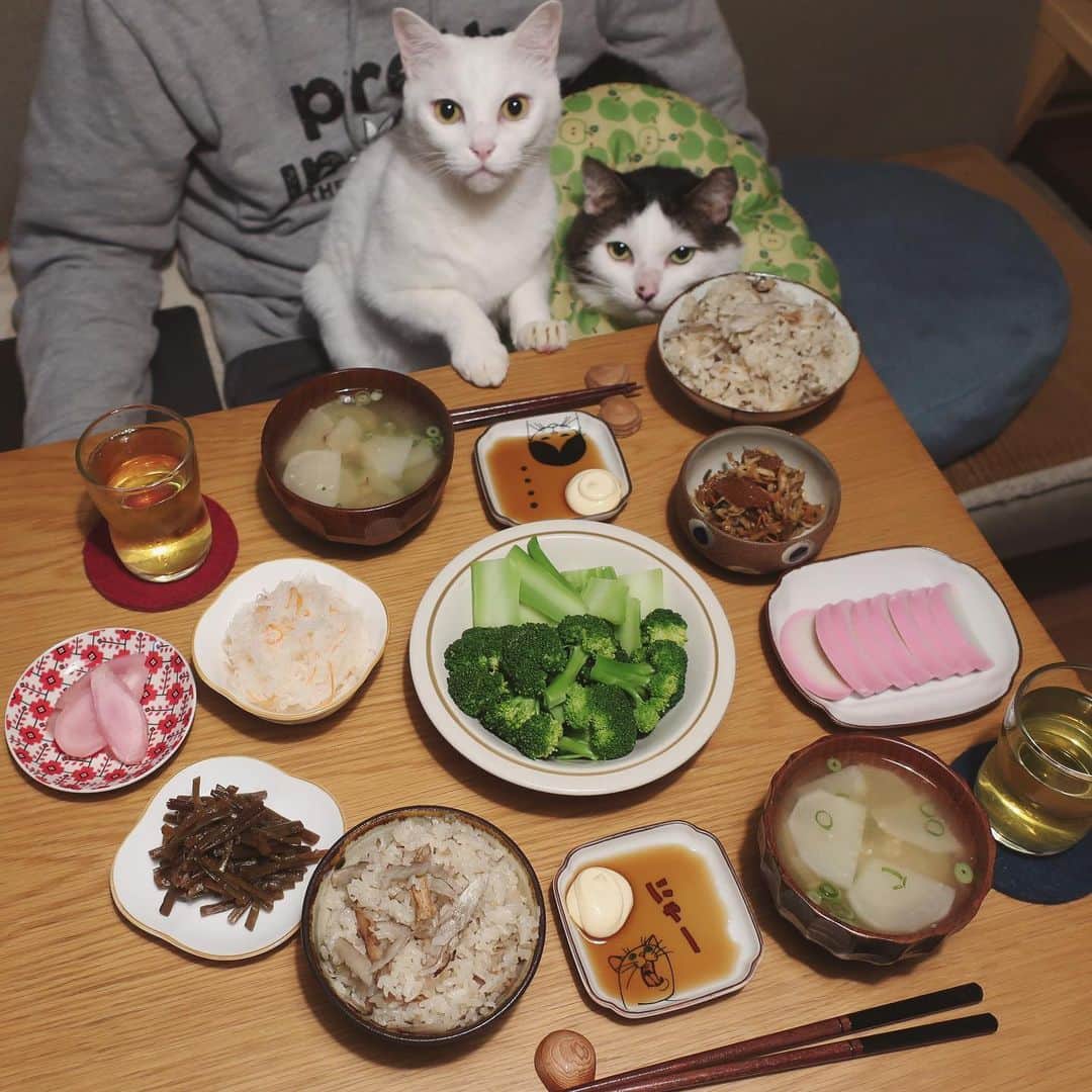 八、おこめのインスタグラム