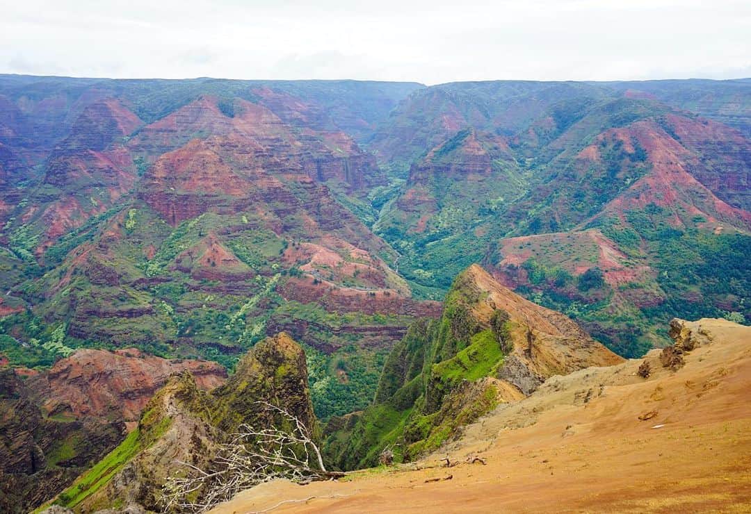 Remiさんのインスタグラム写真 - (RemiInstagram)「Waimea Canyon, Kauai⛰ ハワイ諸島の中で最初に誕生したと言われるカウアイ島。 最大の見所と言われるのが、ハワイ太古の世界を感じることができる壮大な峡谷、ワイメア・キャニオン✨  いくつかのルックポイントの最終点までいくと、海か空からしか行けない手つかずの断崖絶壁、ナパリコーストを望むことができました🌊  がっつりトレッキングの格好の私ですが、すぐそばまで車で行けるので、ほとんど歩きませんでした👌🏽笑 大自然にパワーをもらう旅になりました🧘🏽✨. . .  #ワイメアキャニオン #カウアイ島 #ハワイ #子連れ旅#waimeacanyon #kauai #hawaii #lovetabi #lovetabimama #lovetabi_hawaii」1月5日 0時15分 - remi_912