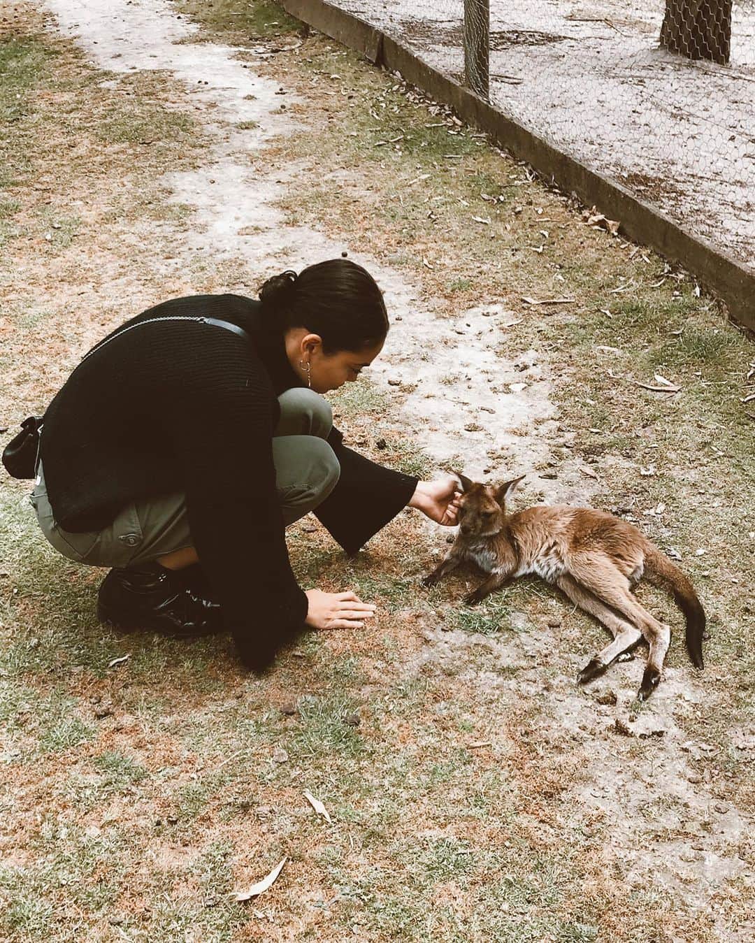 シャニーナ・シャイクのインスタグラム：「I’m heartbroken 💔 I wake up everyday to see my home country burning in a destructive blaze. I don’t have the heart to post the Australian animals burnt to their death  or the families seeing their homes and lives lost in the flames.  The Australian fires have burned 6 million hectares of land, 23 people have died and many more missing , half a billion animals are estimated to have died.  If you could please  donate to the Red Cross Disaster Relief, you’ll be helping the families affected by the Bushfires. (Link in bio)  Myself and so many more support and appreciate the work of the firefighters. 🙏🏽❤️」
