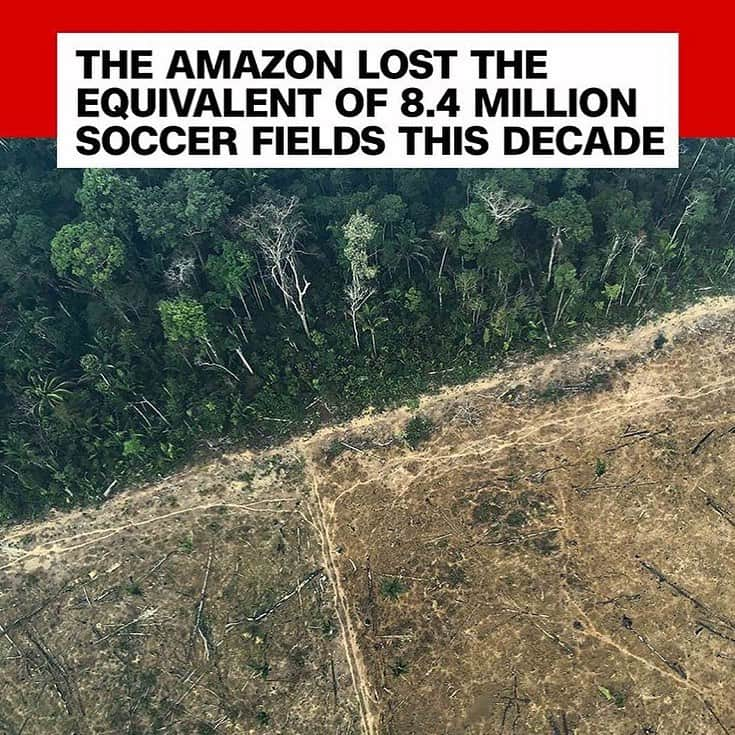 レオナルド・ディカプリオさんのインスタグラム写真 - (レオナルド・ディカプリオInstagram)「#Regram #RG @cnn: Deforestation has ravaged about 24,000 square miles of the Amazon rainforest—the equivalent of 8.4 million soccer fields—over the past decade, according to a report by the Royal Statistical Society, a British organization that analyzed data from the Brazilian government. Farmers, loggers and miners in recent years have taken advantage of relaxed controls on deforestation in Brazil and seized miles and miles of land for commercial development. (📸: @natalielgallon)」1月5日 0時26分 - leonardodicaprio