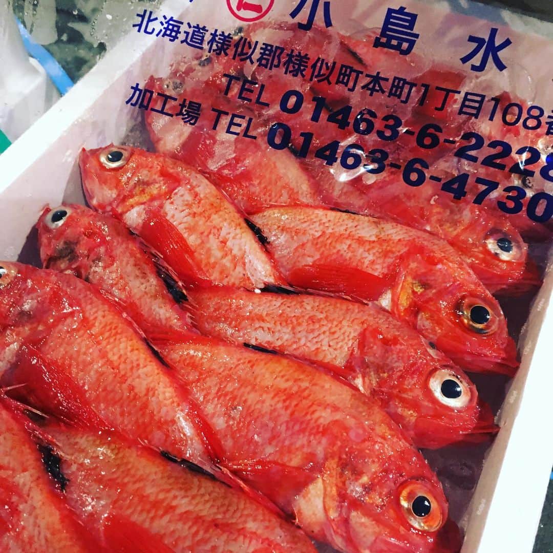 魚金さんのインスタグラム写真 - (魚金Instagram)「令和2年1月5日！ 豊洲市場の初荷です！至る所で札を目にしますが日曜日のせいかな…少し空いているような お値段も普段より少し高い…気がしましたが張り切って買い物しました。 小さめですが北海道のキンキは煮付けや塩焼きで780円のサービス品 青森県さんの白子も天ぷらやフリットで是非！なんと480円北海道のタコ足もビンビン！ ちなみに今年の1番マグロはやはりあのお寿司屋さんが！キロ70万去年より50万安いですがマグロ一本2億円… 本日僕の市場メシは福せんの焼き鳥丼。相変わらずの焼き鳥の存在感で美味かったです！  本日も魚金はアプリのご利用で刺し盛りやカルパッチョが半額になるキャンペーンなども開催していますので夕食がてらのちょい飲みのご利用でもご検討頂ければと思います。  仕入部　片之坂 #魚金 #新橋#新橋居酒屋#居酒屋#銀座#京橋#神田#まぐろ#刺身#吉祥寺#ビール#池袋#花火#先週村#マルタ島#唐揚げ#ブリ#渋谷#クラフトビール#レモンサワー#豊洲市場#牡蠣#夏#ワイン#神田#うに#横浜#food#foodie」1月5日 10時11分 - uokin_koho