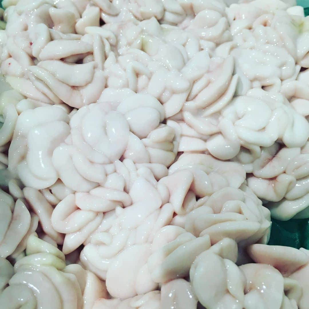 魚金さんのインスタグラム写真 - (魚金Instagram)「令和2年1月5日！ 豊洲市場の初荷です！至る所で札を目にしますが日曜日のせいかな…少し空いているような お値段も普段より少し高い…気がしましたが張り切って買い物しました。 小さめですが北海道のキンキは煮付けや塩焼きで780円のサービス品 青森県さんの白子も天ぷらやフリットで是非！なんと480円北海道のタコ足もビンビン！ ちなみに今年の1番マグロはやはりあのお寿司屋さんが！キロ70万去年より50万安いですがマグロ一本2億円… 本日僕の市場メシは福せんの焼き鳥丼。相変わらずの焼き鳥の存在感で美味かったです！  本日も魚金はアプリのご利用で刺し盛りやカルパッチョが半額になるキャンペーンなども開催していますので夕食がてらのちょい飲みのご利用でもご検討頂ければと思います。  仕入部　片之坂 #魚金 #新橋#新橋居酒屋#居酒屋#銀座#京橋#神田#まぐろ#刺身#吉祥寺#ビール#池袋#花火#先週村#マルタ島#唐揚げ#ブリ#渋谷#クラフトビール#レモンサワー#豊洲市場#牡蠣#夏#ワイン#神田#うに#横浜#food#foodie」1月5日 10時11分 - uokin_koho