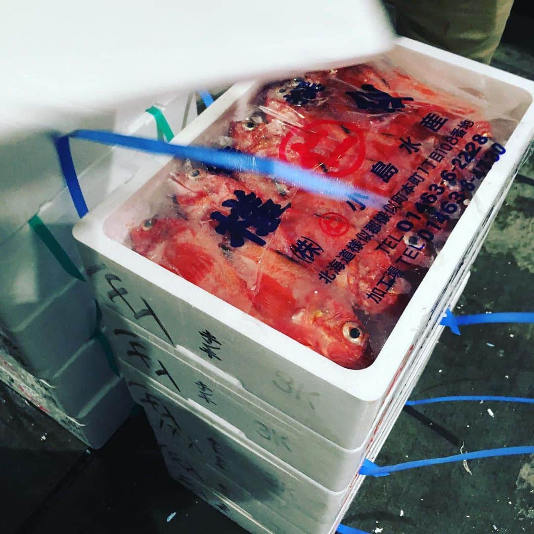 魚金さんのインスタグラム写真 - (魚金Instagram)「令和2年1月5日！ 豊洲市場の初荷です！至る所で札を目にしますが日曜日のせいかな…少し空いているような お値段も普段より少し高い…気がしましたが張り切って買い物しました。 小さめですが北海道のキンキは煮付けや塩焼きで780円のサービス品 青森県さんの白子も天ぷらやフリットで是非！なんと480円北海道のタコ足もビンビン！ ちなみに今年の1番マグロはやはりあのお寿司屋さんが！キロ70万去年より50万安いですがマグロ一本2億円… 本日僕の市場メシは福せんの焼き鳥丼。相変わらずの焼き鳥の存在感で美味かったです！  本日も魚金はアプリのご利用で刺し盛りやカルパッチョが半額になるキャンペーンなども開催していますので夕食がてらのちょい飲みのご利用でもご検討頂ければと思います。  仕入部　片之坂 #魚金 #新橋#新橋居酒屋#居酒屋#銀座#京橋#神田#まぐろ#刺身#吉祥寺#ビール#池袋#花火#先週村#マルタ島#唐揚げ#ブリ#渋谷#クラフトビール#レモンサワー#豊洲市場#牡蠣#夏#ワイン#神田#うに#横浜#food#foodie」1月5日 10時11分 - uokin_koho