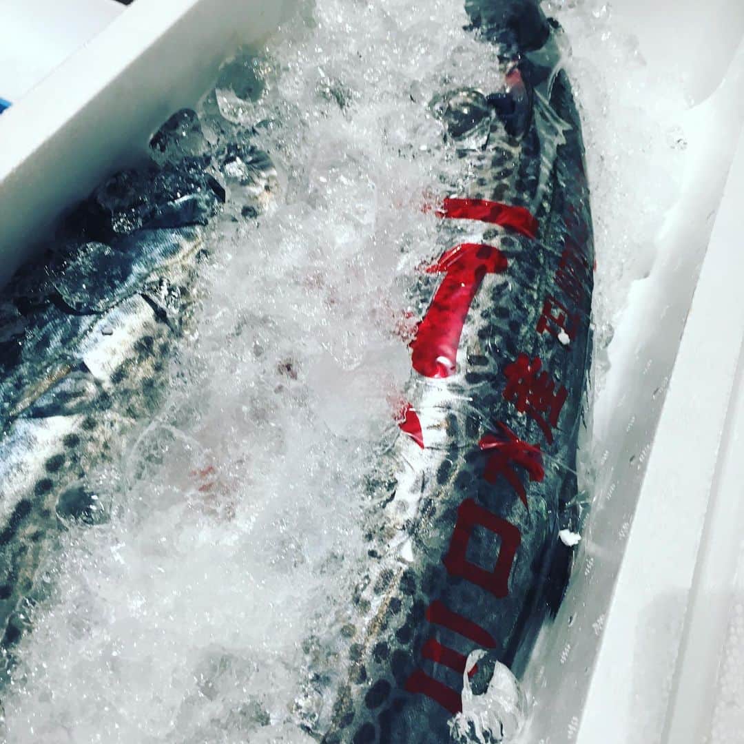 魚金さんのインスタグラム写真 - (魚金Instagram)「令和2年1月5日！ 豊洲市場の初荷です！至る所で札を目にしますが日曜日のせいかな…少し空いているような お値段も普段より少し高い…気がしましたが張り切って買い物しました。 小さめですが北海道のキンキは煮付けや塩焼きで780円のサービス品 青森県さんの白子も天ぷらやフリットで是非！なんと480円北海道のタコ足もビンビン！ ちなみに今年の1番マグロはやはりあのお寿司屋さんが！キロ70万去年より50万安いですがマグロ一本2億円… 本日僕の市場メシは福せんの焼き鳥丼。相変わらずの焼き鳥の存在感で美味かったです！  本日も魚金はアプリのご利用で刺し盛りやカルパッチョが半額になるキャンペーンなども開催していますので夕食がてらのちょい飲みのご利用でもご検討頂ければと思います。  仕入部　片之坂 #魚金 #新橋#新橋居酒屋#居酒屋#銀座#京橋#神田#まぐろ#刺身#吉祥寺#ビール#池袋#花火#先週村#マルタ島#唐揚げ#ブリ#渋谷#クラフトビール#レモンサワー#豊洲市場#牡蠣#夏#ワイン#神田#うに#横浜#food#foodie」1月5日 10時11分 - uokin_koho