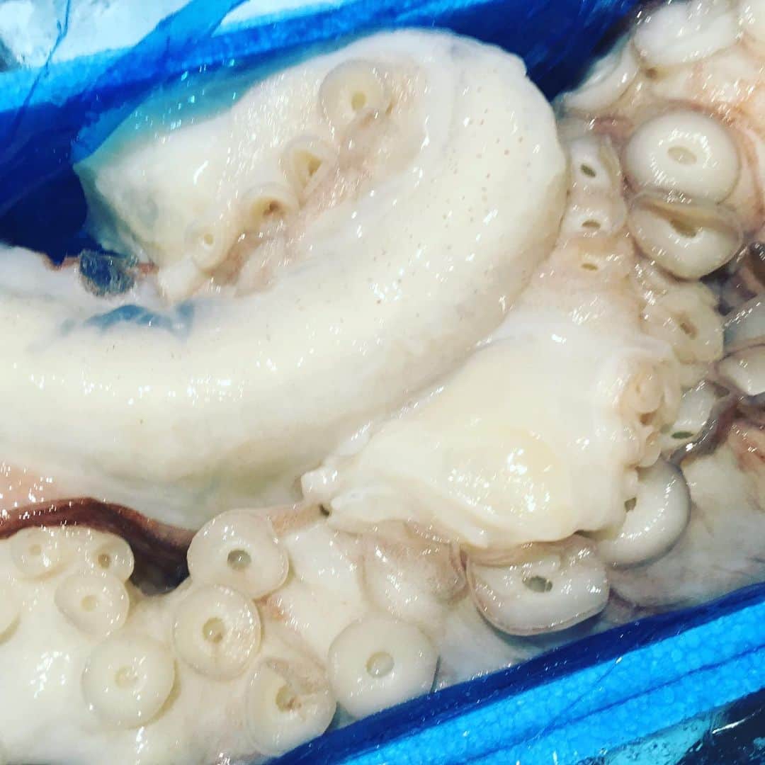 魚金さんのインスタグラム写真 - (魚金Instagram)「令和2年1月5日！ 豊洲市場の初荷です！至る所で札を目にしますが日曜日のせいかな…少し空いているような お値段も普段より少し高い…気がしましたが張り切って買い物しました。 小さめですが北海道のキンキは煮付けや塩焼きで780円のサービス品 青森県さんの白子も天ぷらやフリットで是非！なんと480円北海道のタコ足もビンビン！ ちなみに今年の1番マグロはやはりあのお寿司屋さんが！キロ70万去年より50万安いですがマグロ一本2億円… 本日僕の市場メシは福せんの焼き鳥丼。相変わらずの焼き鳥の存在感で美味かったです！  本日も魚金はアプリのご利用で刺し盛りやカルパッチョが半額になるキャンペーンなども開催していますので夕食がてらのちょい飲みのご利用でもご検討頂ければと思います。  仕入部　片之坂 #魚金 #新橋#新橋居酒屋#居酒屋#銀座#京橋#神田#まぐろ#刺身#吉祥寺#ビール#池袋#花火#先週村#マルタ島#唐揚げ#ブリ#渋谷#クラフトビール#レモンサワー#豊洲市場#牡蠣#夏#ワイン#神田#うに#横浜#food#foodie」1月5日 10時11分 - uokin_koho